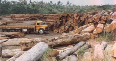 crimes ambientais na Amazônia