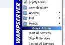 Como instalar Wamp