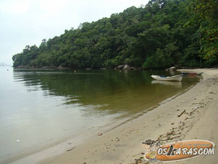 DSC02901 Trilha na ilha de Itacuruçá