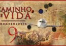 Numerologia Caminho de vida - Número de destino